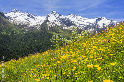 Bunte Blumenwiese in Südtirol, Italien
