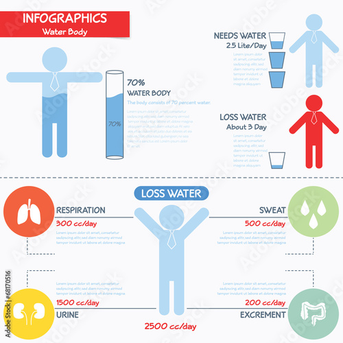 Infographics of water body, vector eps10