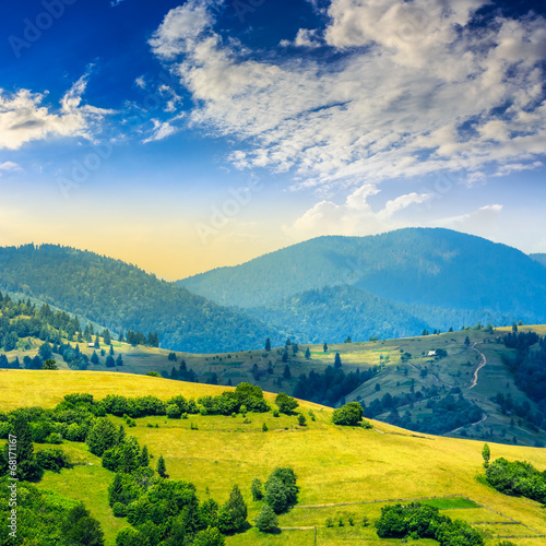 village on hillside meadow near forest in mountain