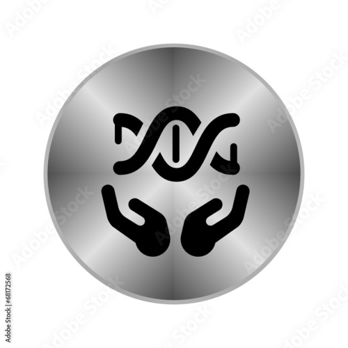 Chrome Icon