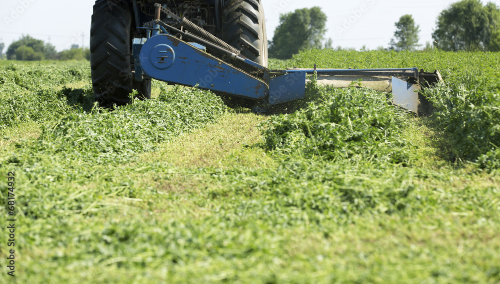 Obraz premium Mowing clover field with rotary cutter