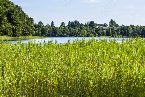 Lake Hancza in eastern Europe. Poland photo