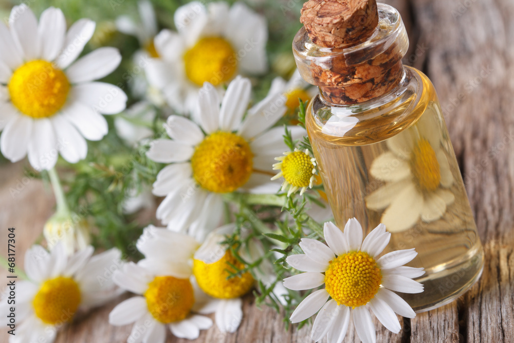 fragrant oil of chamomile in glass bottle macro horizontal