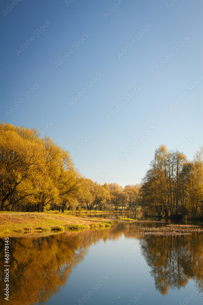 sky could be seen through the trees of the park