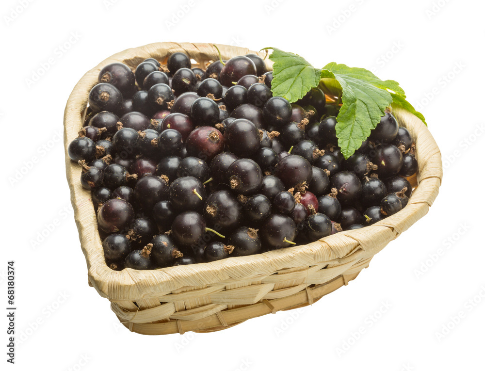 Black currant Black currant