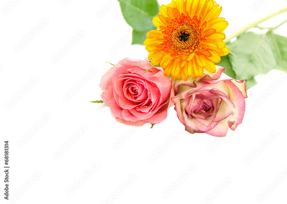 Fototapeta premium bouquet
