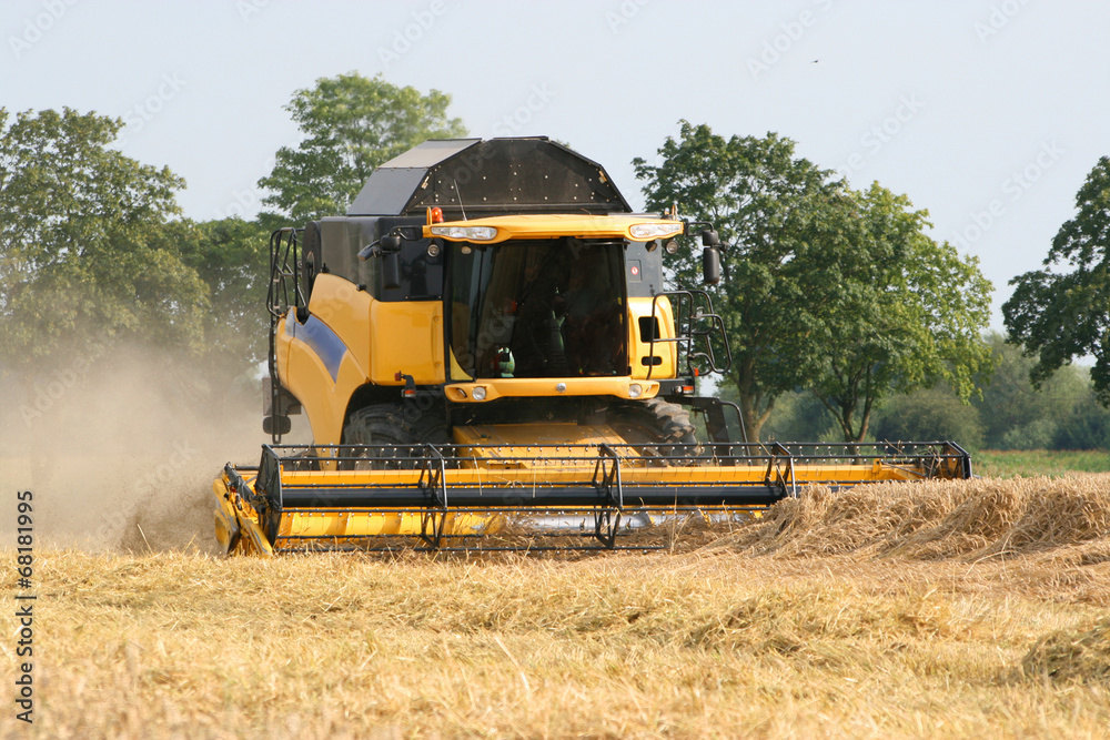 Obraz premium Maehdrescher