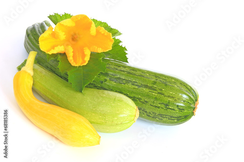 Zucchini photo