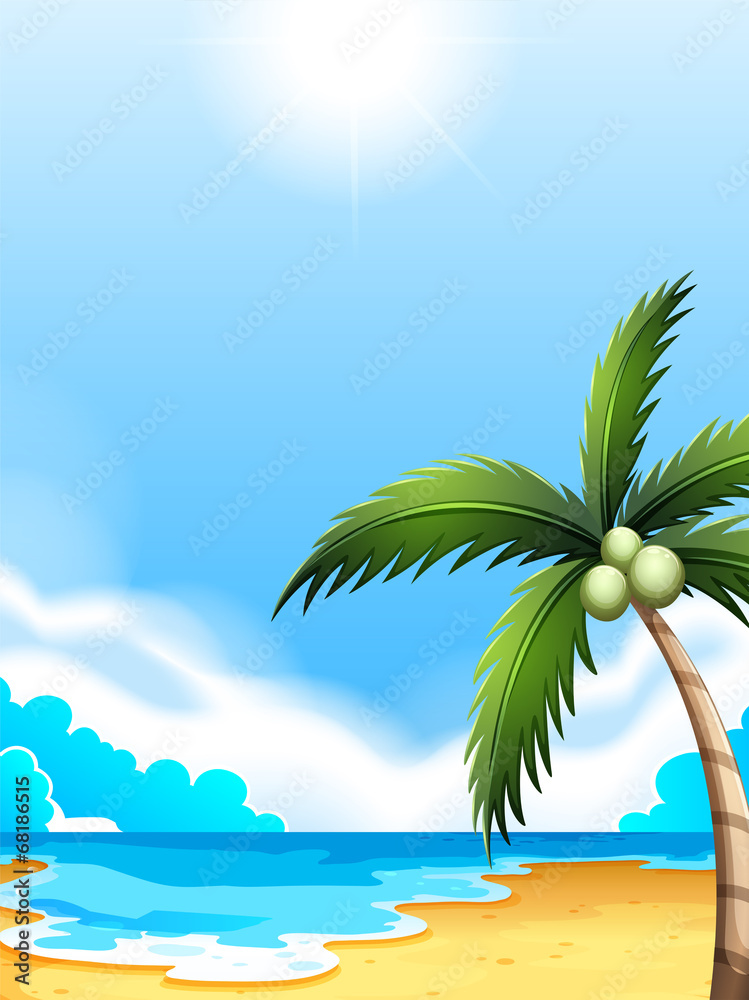 A beach with a coconut tree