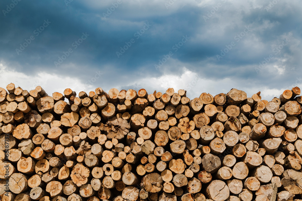 Industrial Timber