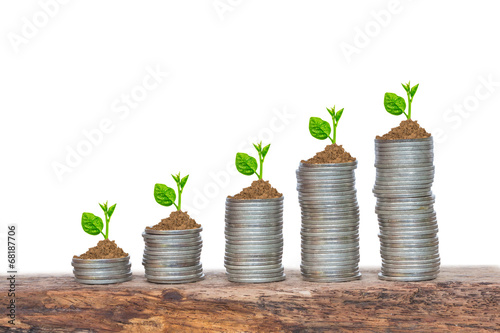trees growing in a sequence of germination on piles of coins