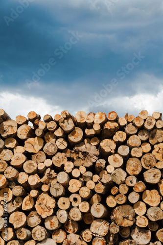Industrial Timber