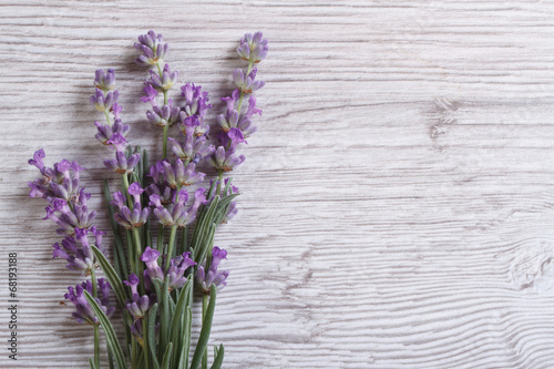 Fototapeta Naklejka Na Ścianę i Meble -  bouquet of fragrant lavender flowers. floral frame