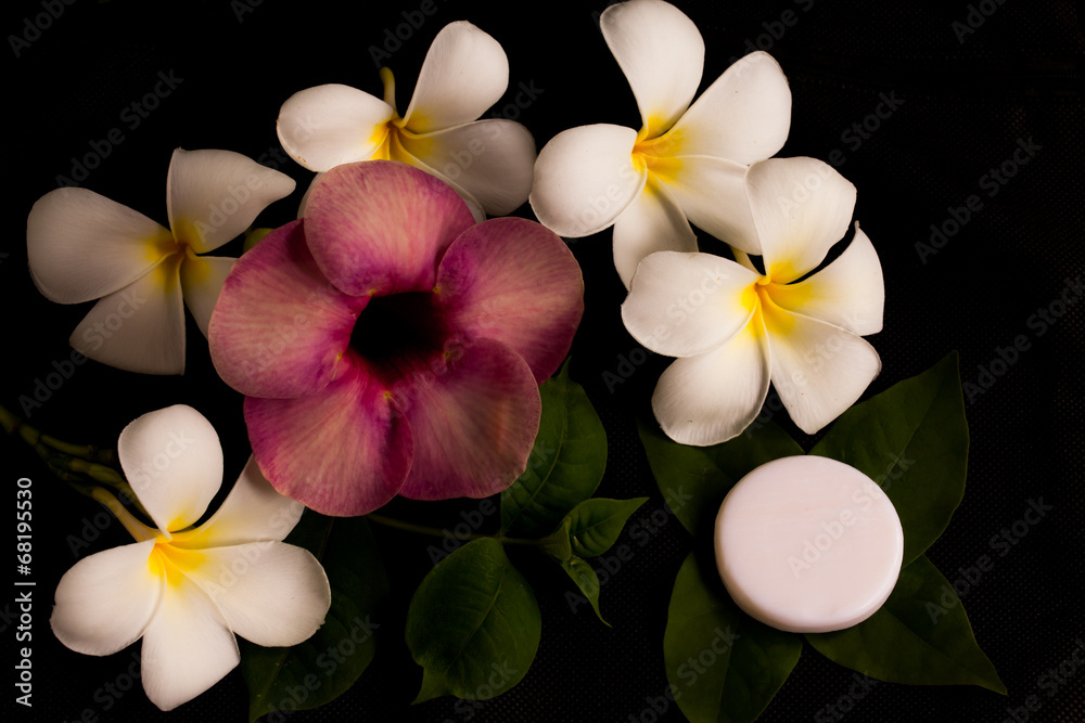 Fototapeta premium Chinese rose and soap.