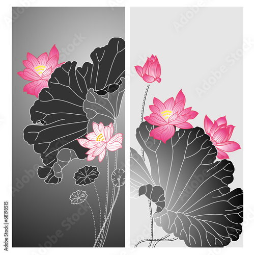 lotus flower