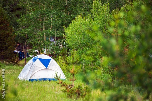 Tent on the Forest Meadow
