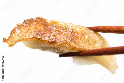 焼き餃子 jaozi dumpling 白背景