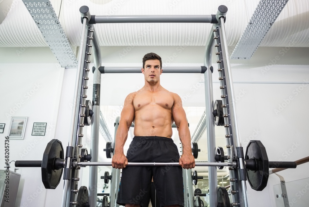 Fototapeta premium Shirtless muscular man lifting barbell in gym