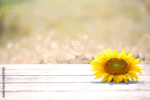 Fototapeta Naklejka Na Ścianę i Meble -  Beautiful sunflower on table on bright background