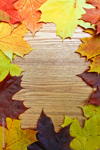 Vintage Autumn wooden border from maple and fallen leaves