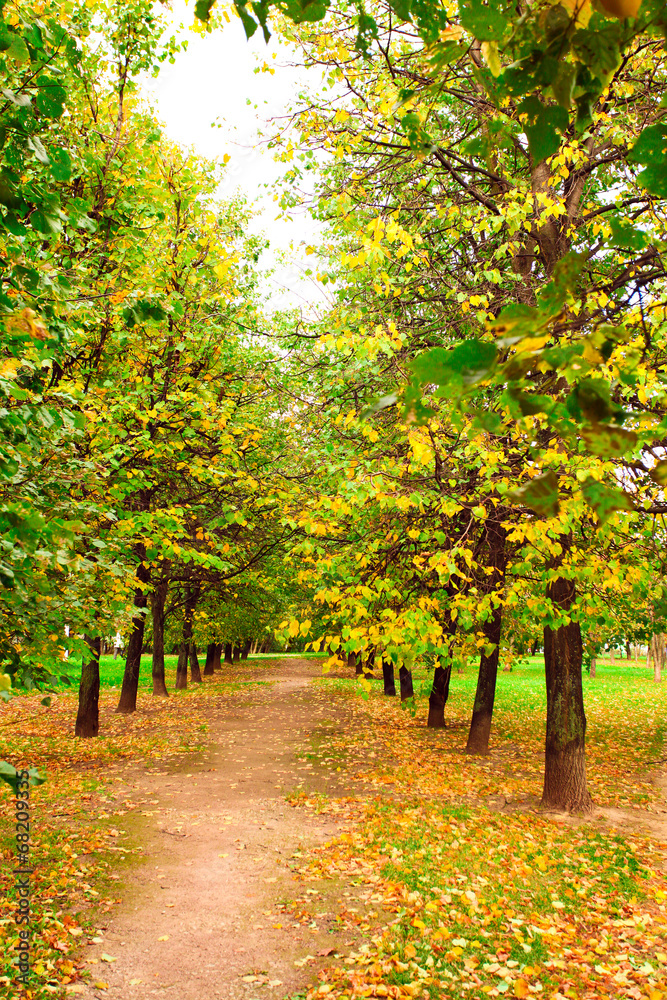 Naklejka premium Beautiful autumn landscape in warm colors