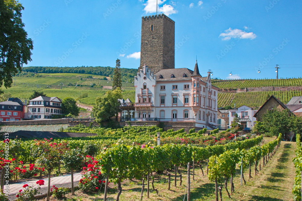 Rüdesheim, Boosenburg mit Weingärten und Weinbergen, Niederwald