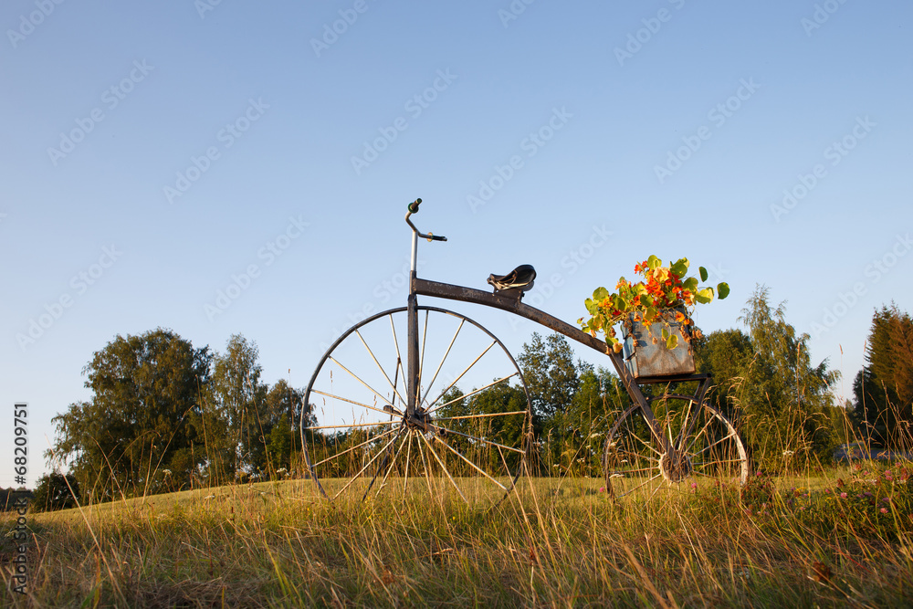Naklejka premium antique bike with flower pot on field