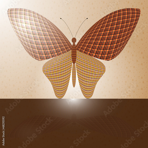 butterfly on the wall and its reflection on a horizontal surface