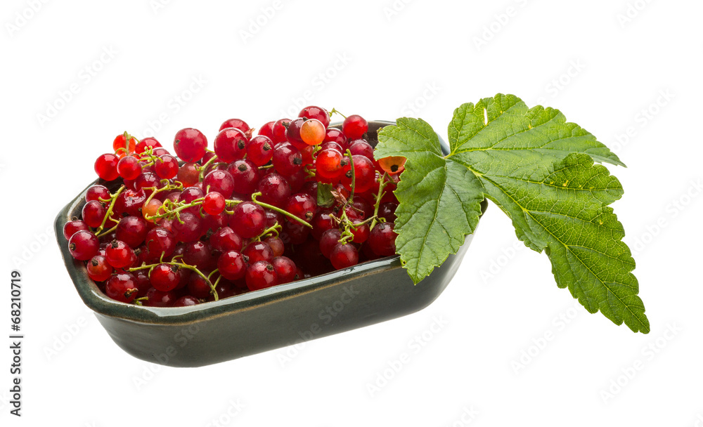 Red currant Red currant