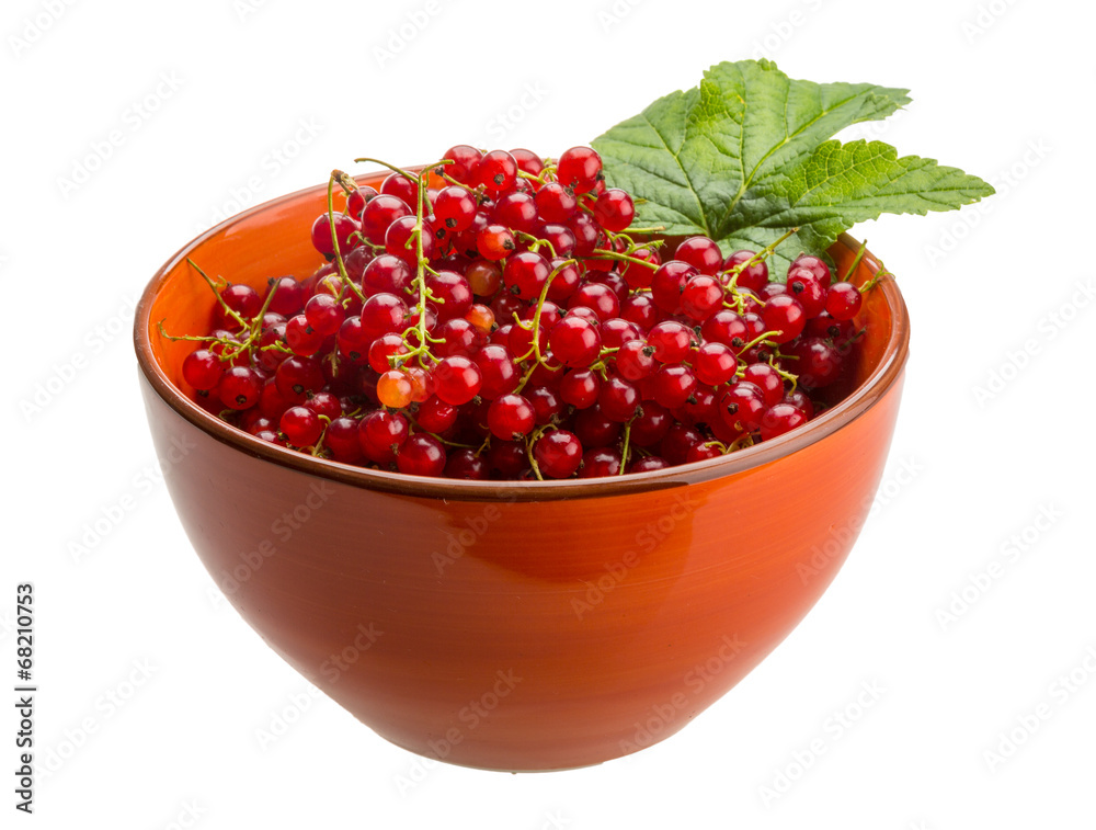 Red currant Red currant
