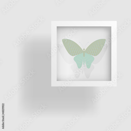 butterfly in the picture and its reflection