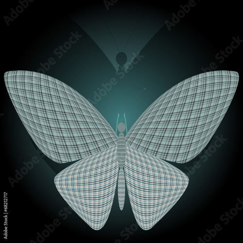 butterfly