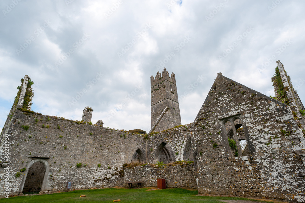 ruins of Adare Abbey in Ireland