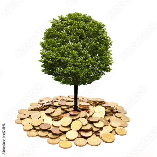 Baum auf Münzen