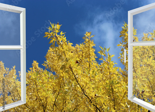 Fototapeta otwarte okno na żółte jesienne drzewo i błękitne niebo
