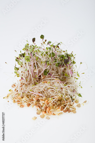 The healthy diet. Fresh sprouts isolated on white background