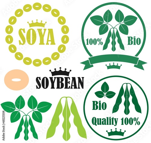Soybean