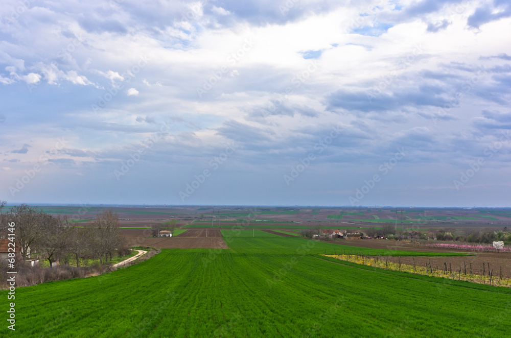 Agricultural fields near Danube river in early spring