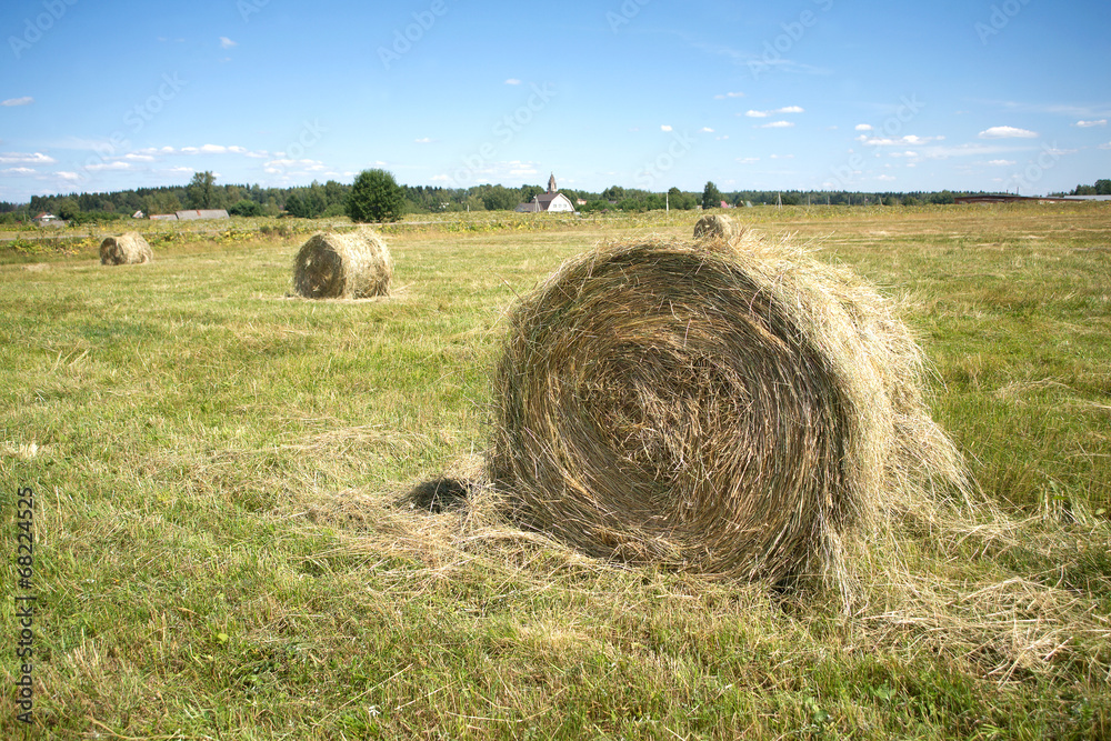 Landscape with many hay rolls on cultivate field Landscape with many hay rolls on cultivate field