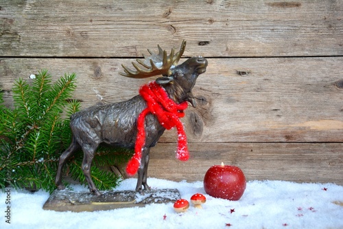 Hirsch mit Schal