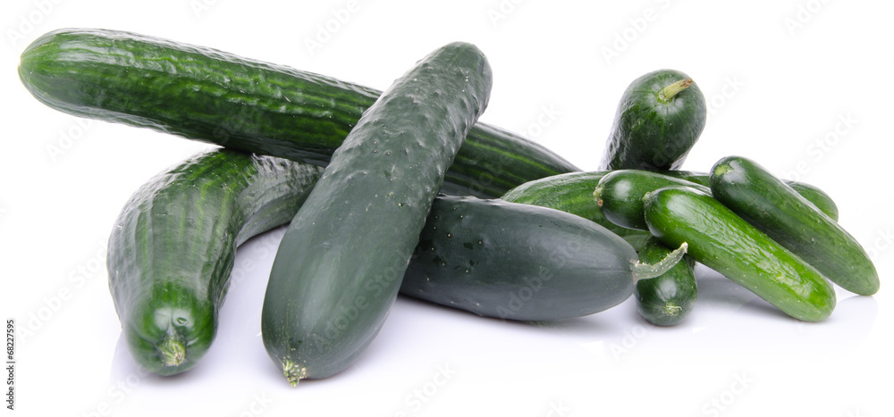 Fresh long and mini cucumbers Fresh long and mini cucumbers