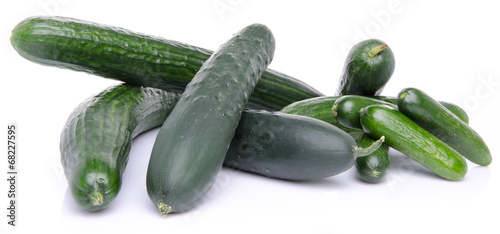 Fresh long and mini cucumbers
