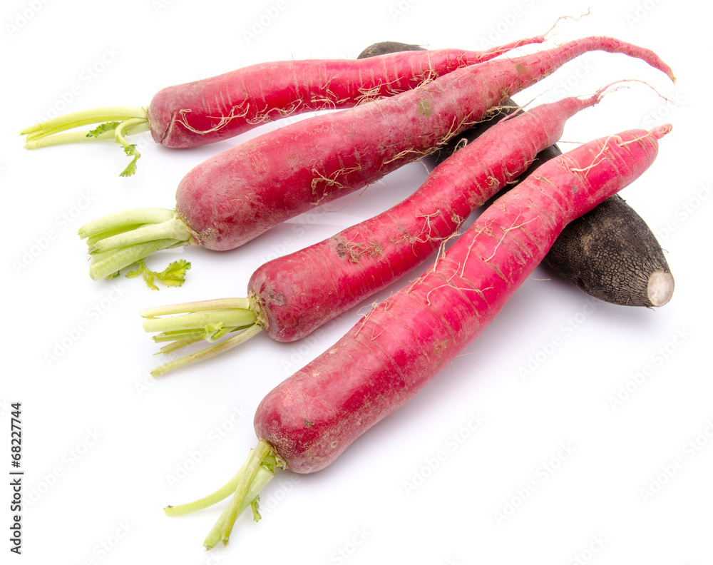 Composition with red and black fresh radish Composition with red and black fresh radish