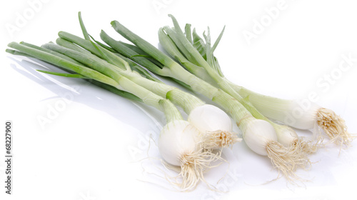 Fresh green onions