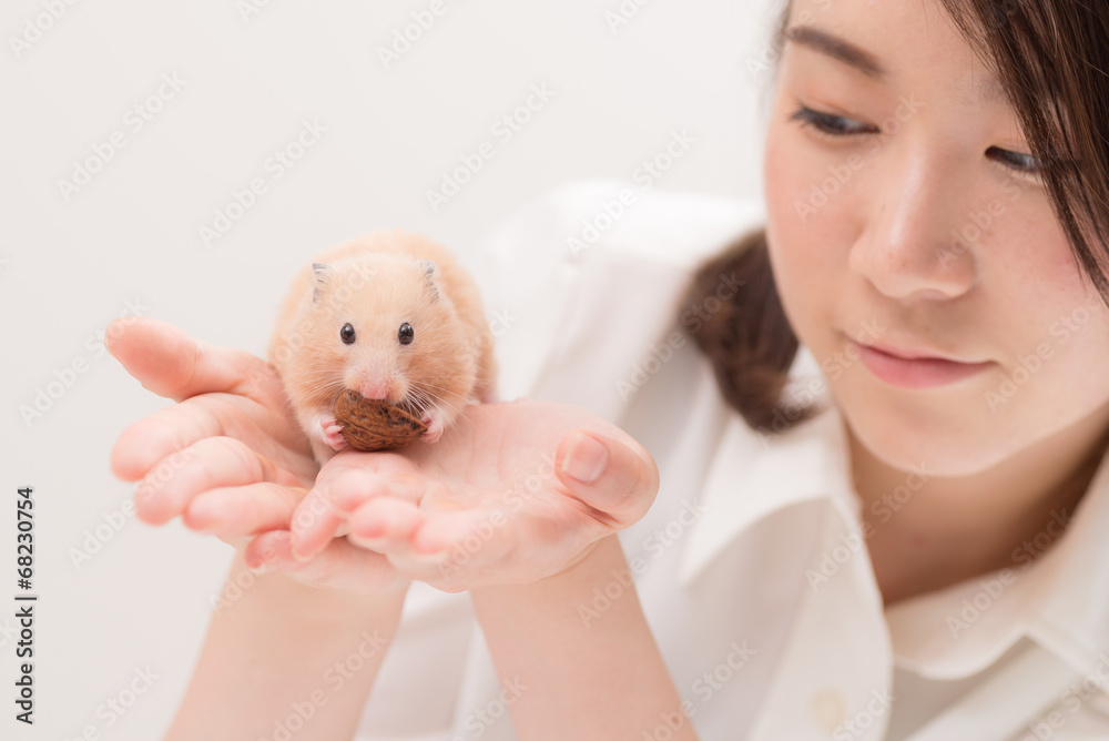 手のひらで胡桃を食べるハムスター 手のひらで胡桃を食べるハムスター