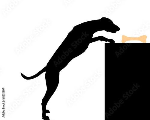 Hund stiehlt Knochen