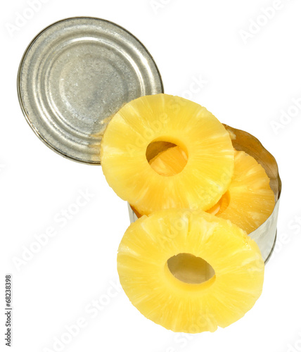 Εκτύπωση καμβά Tinned Pineapple Rings