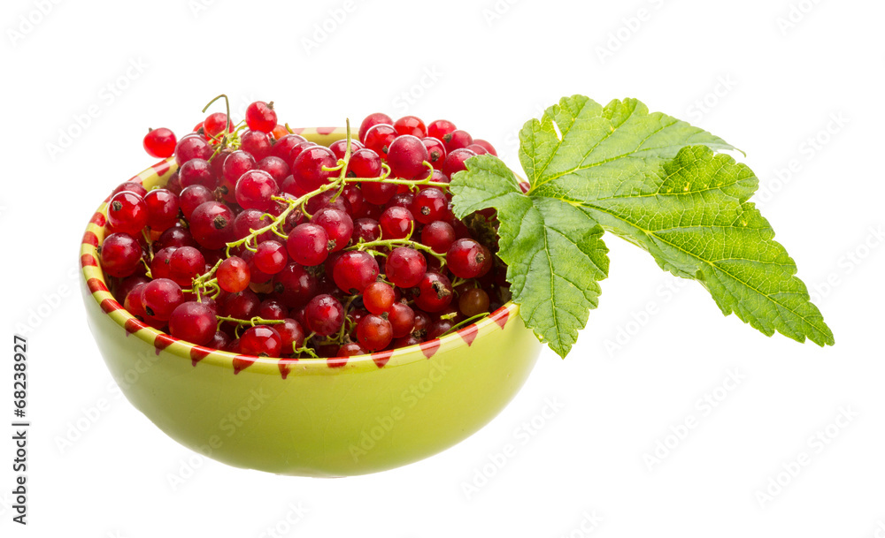 Red currant Red currant