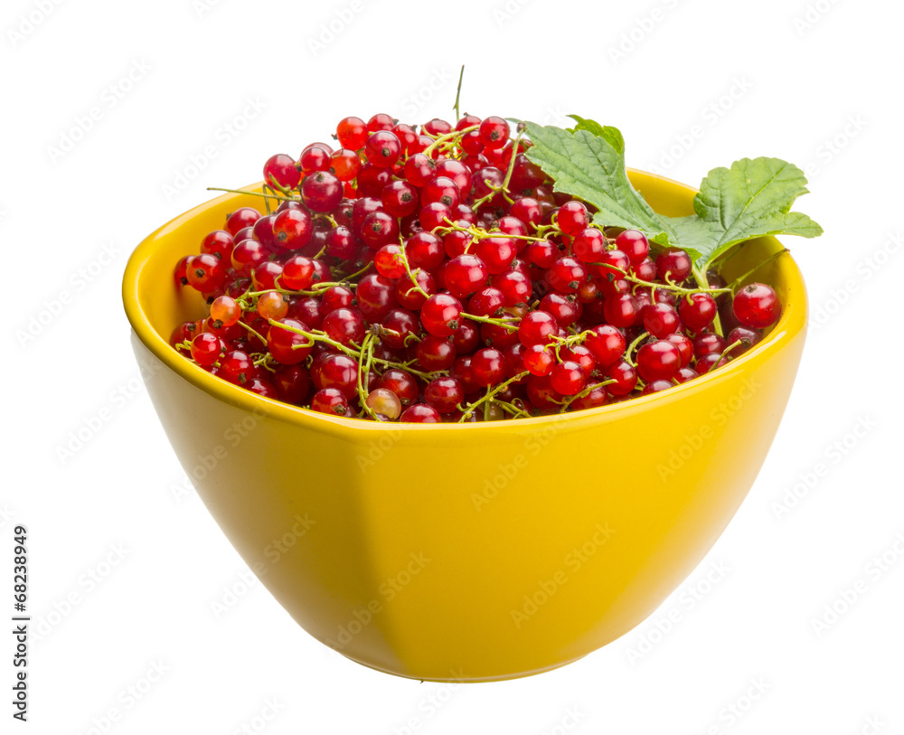 Red currant Red currant
