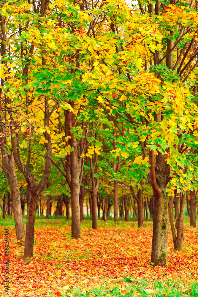 Beautiful autumn landscape in warm colors Beautiful autumn landscape in warm colors